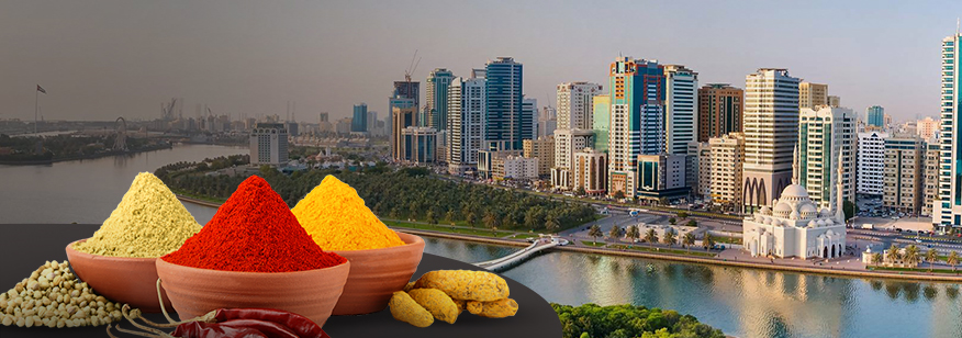 How Sharjah Distributors Benefit from MSALZ’s Bulk Spice Export Services