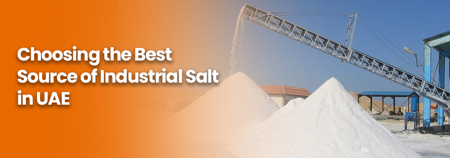 Choosing the Best Source of Industrial Salt in UAE